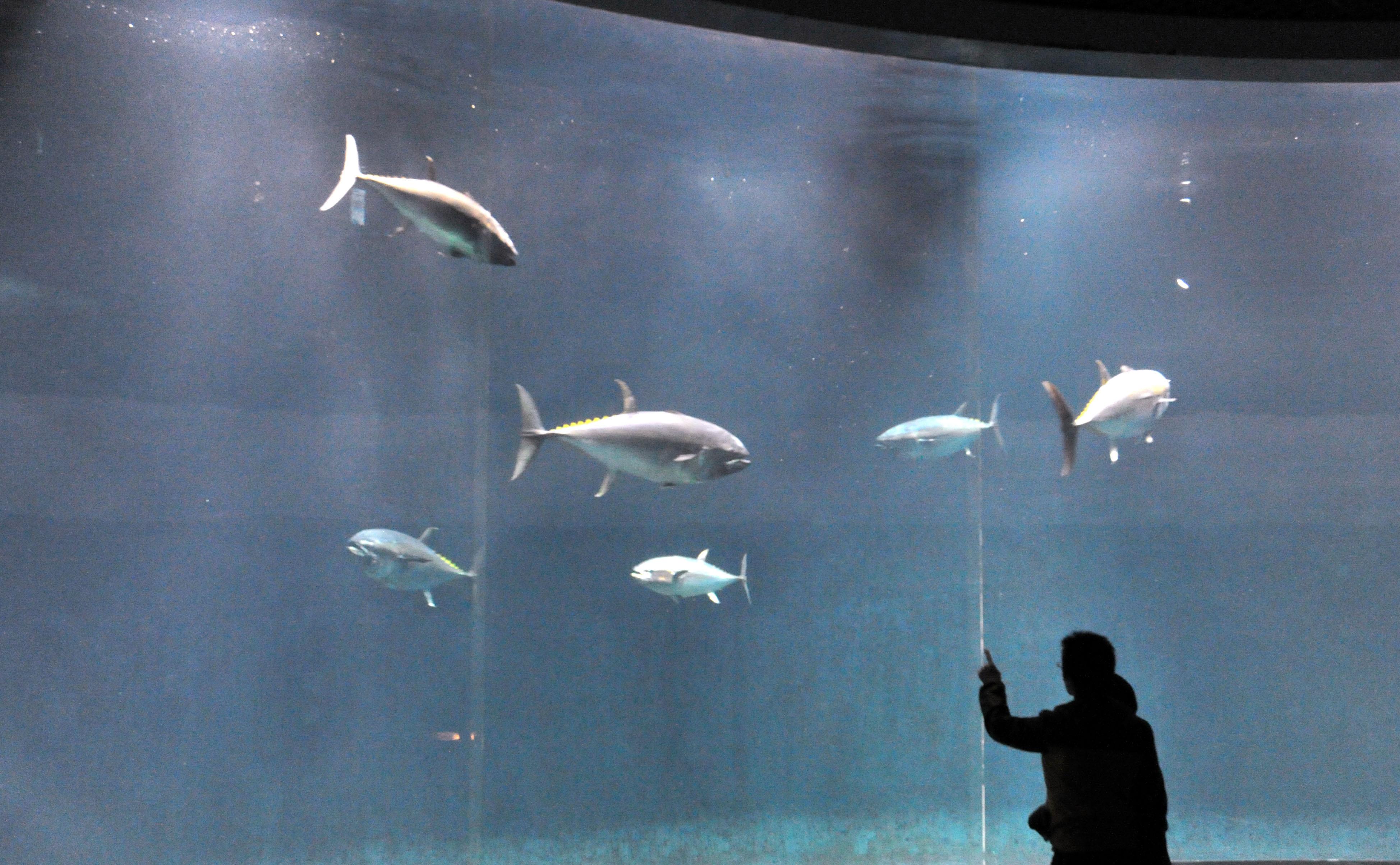 🐠 카사이 임해 수족원(카사이린카이스이조쿠엔)